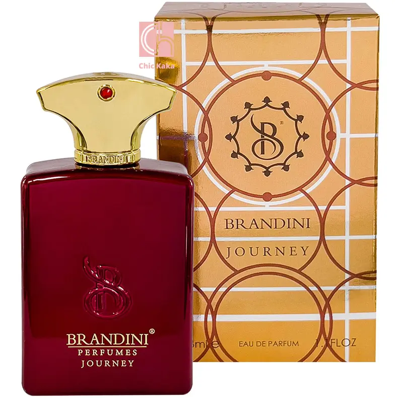 عطر ادکلن برندینی جورنی مردانه Journey حجم 33 میلی لیتر